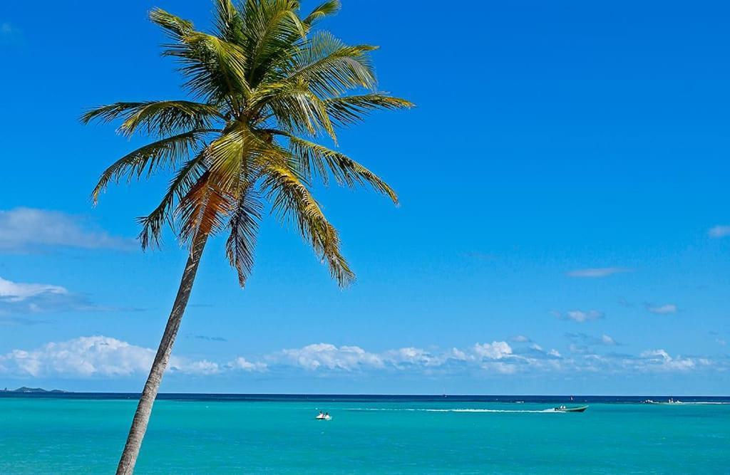 Keshy Island Colibri Apartment Baillif ภายนอก รูปภาพ